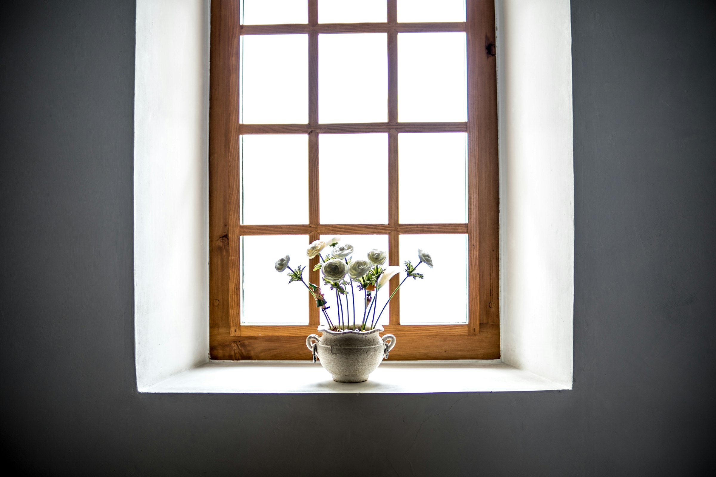 White flowers in a vase at a window in soft natural light.